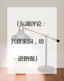 东湖评论：共建家园，思进图强