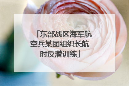 东部战区海军航空兵某团组织长航时反潜训练