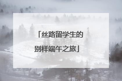 丝路留学生的别样端午之旅