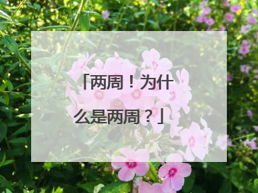 两周！为什么是两周？
