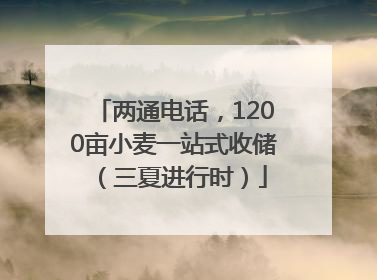 两通电话，1200亩小麦一站式收储（三夏进行时）