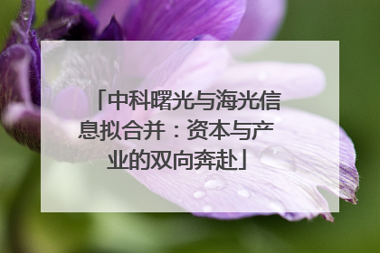 中科曙光与海光信息拟合并：资本与产业的双向奔赴