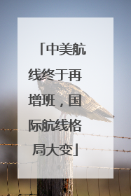 中美航线终于再增班，国际航线格局大变
