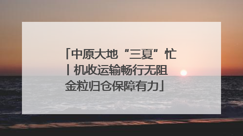 中原大地“三夏”忙丨机收运输畅行无阻 金粒归仓保障有力