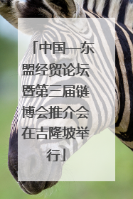 中国—东盟经贸论坛暨第三届链博会推介会在吉隆坡举行