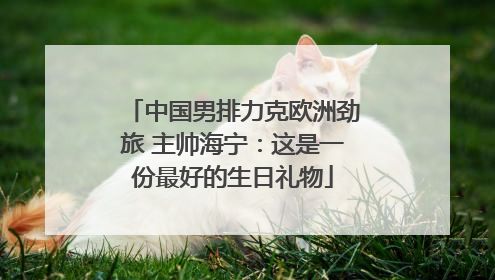 中国男排力克欧洲劲旅 主帅海宁：这是一份最好的生日礼物
