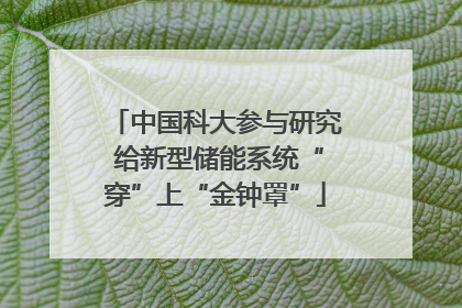 中国科大参与研究 给新型储能系统“穿”上“金钟罩”