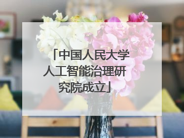 中国人民大学人工智能治理研究院成立