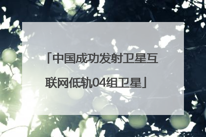 中国成功发射卫星互联网低轨04组卫星