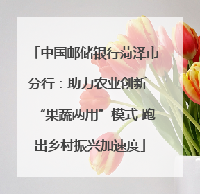 中国邮储银行菏泽市分行：助力农业创新 “果蔬两用”模式 跑出乡村振兴加速度