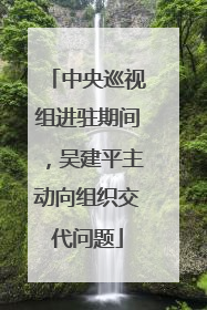 中央巡视组进驻期间，吴建平主动向组织交代问题