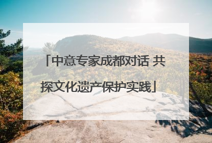 中意专家成都对话 共探文化遗产保护实践