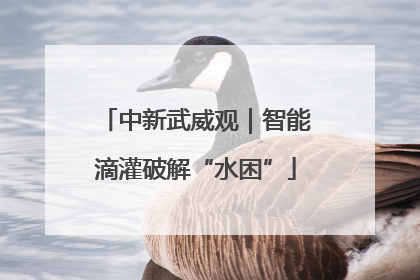 中新武威观｜智能滴灌破解“水困”