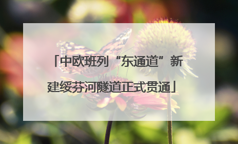 中欧班列“东通道”新建绥芬河隧道正式贯通