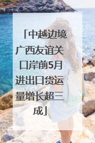 中越边境广西友谊关口岸前5月进出口货运量增长超三成