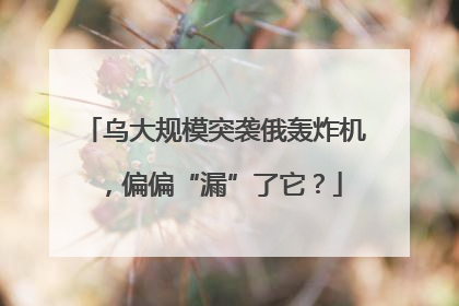乌大规模突袭俄轰炸机，偏偏“漏”了它？