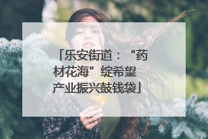 乐安街道：“药材花海”绽希望 产业振兴鼓钱袋