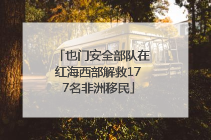 也门安全部队在红海西部解救177名非洲移民
