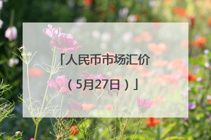人民币市场汇价（5月27日）