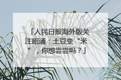 人民日报海外版关注昭通：土豆变“米”，你想尝尝吗？