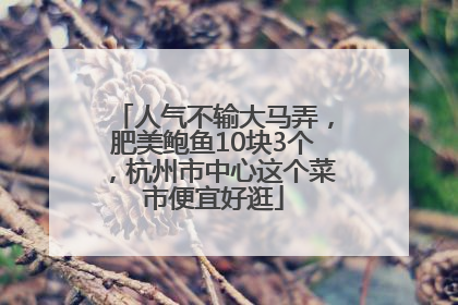 人气不输大马弄，肥美鲍鱼10块3个，杭州市中心这个菜市便宜好逛