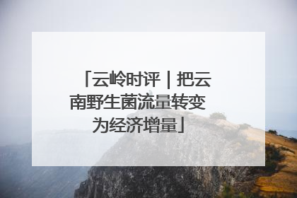 云岭时评｜把云南野生菌流量转变为经济增量