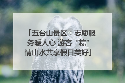 五台山景区：志愿服务暖人心 游客“粽”情山水共享假日美好