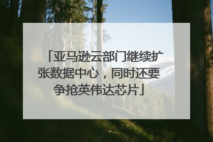 亚马逊云部门继续扩张数据中心，同时还要争抢英伟达芯片