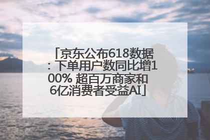 京东公布618数据：下单用户数同比增100% 超百万商家和6亿消费者受益AI