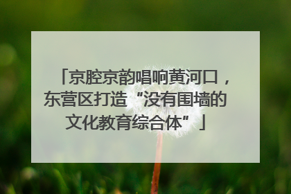 京腔京韵唱响黄河口，东营区打造“没有围墙的文化教育综合体”