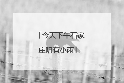 今天下午石家庄阴有小雨