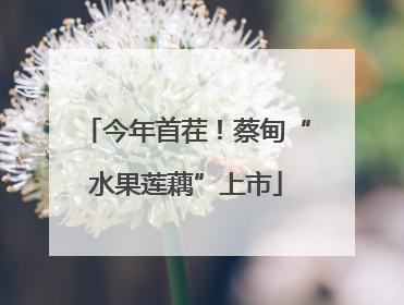 今年首茬！蔡甸“水果莲藕”上市