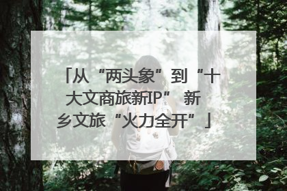 从“两头象”到“十大文商旅新IP” 新乡文旅“火力全开”