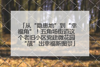 从“隐患地”到“幸福角”!五角场街道这个老旧小区党建微花园“靓”出幸福新图景