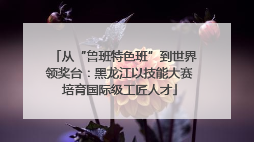 从“鲁班特色班”到世界领奖台：黑龙江以技能大赛培育国际级工匠人才