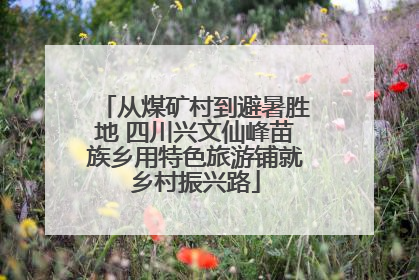 从煤矿村到避暑胜地 四川兴文仙峰苗族乡用特色旅游铺就乡村振兴路