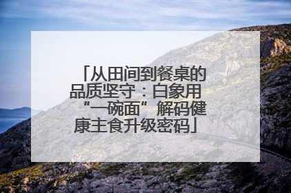 从田间到餐桌的品质坚守：白象用“一碗面”解码健康主食升级密码