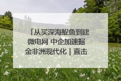从买深海鳀鱼到建微电网 中企加速掘金非洲现代化｜直击中非经贸博览会