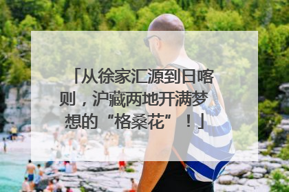 从徐家汇源到日喀则,沪藏两地开满梦想的“格桑花”!