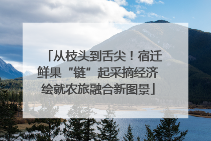从枝头到舌尖！宿迁鲜果“链”起采摘经济绘就农旅融合新图景