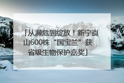 从濒危到绽放！新宁崀山600株“国宝兰”获省级生物保护嘉奖