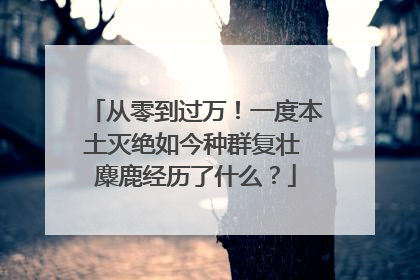 从零到过万！一度本土灭绝如今种群复壮 麋鹿经历了什么？