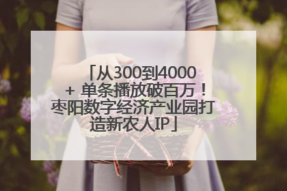 从300到4000+ 单条播放破百万！枣阳数字经济产业园打造新农人IP