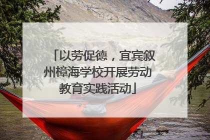 以劳促德，宜宾叙州樟海学校开展劳动教育实践活动