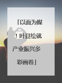 以面为媒！叶县绘就产业振兴多彩画卷