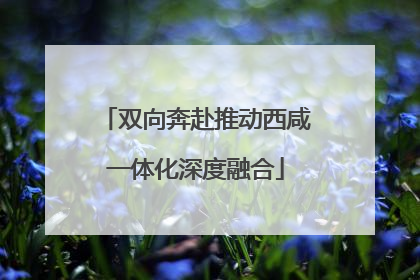 双向奔赴推动西咸一体化深度融合