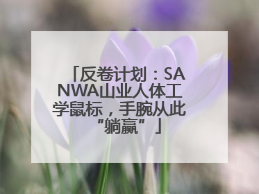 反卷计划：SANWA山业人体工学鼠标，手腕从此“躺赢”