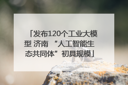 发布120个工业大模型 济南 “人工智能生态共同体”初具规模