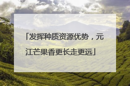发挥种质资源优势，元江芒果香更长走更远