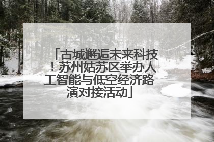 古城邂逅未来科技！苏州姑苏区举办人工智能与低空经济路演对接活动